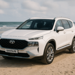 Hyundai SantaFe - From Hotel